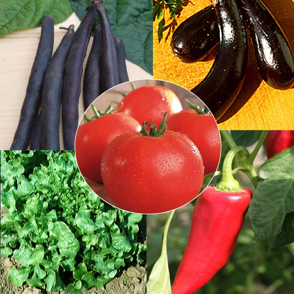 Collection "Panier Bio" - 5 Sachets De Graines AB 3 Collection "Panier Bio" - 5 Sachets De Graines AB