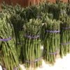 Asperge Verte Rambo - Asparagus Officinalis -Jadine Clat Boutique asparagus officinalis rambo 16300 1